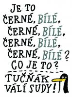 Foto uživatele