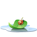 podzim